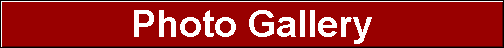 Photo Gallery