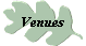 Venues