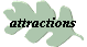 attractions